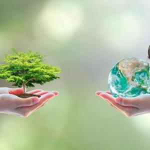 Conservacion de la biodiversidad