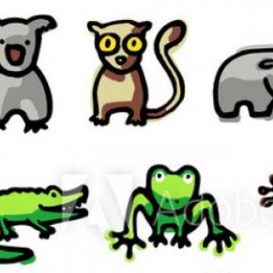 Portada del juego LES ANIMAUX – Idiomas