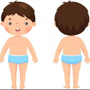 The body
