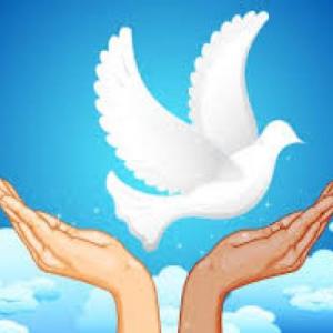 Conflicto, Violencia y Paz