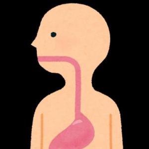 Preguntados - El sistema digestivo