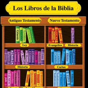 Libros de la Biblia