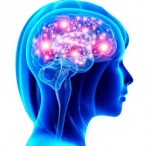 Imagen de portada del videojuego educativo: Sistema nervioso, de la temática Biología