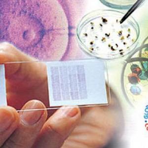 Biotecnología Bacteriana