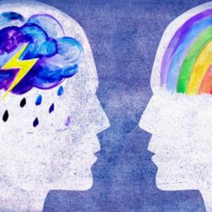 NEUROCIENCIA DE LAS EMOCIONES. ARQUITECTURA CEREBRAL Y SISTEMA LÌMBICO