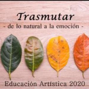 Imagen de portada del videojuego educativo: DUCHAZO Trasmutar , de la temática Artes