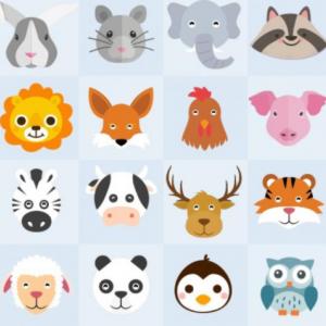 ¿Cómo ayudamos a los animales?