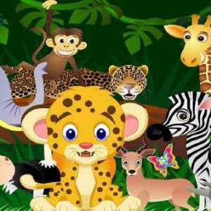 ¿Qué sabemos de los animales salvajes?