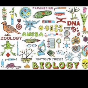 Biology 