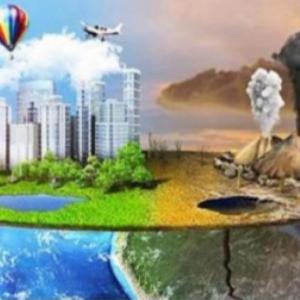 Contaminación Ambiental