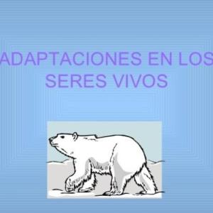 Adaptaciones en los seres vivos