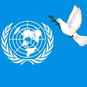 La ONU y la DUDH