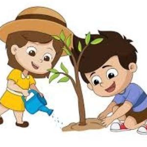 Cuidados de la planta 