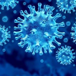 pandemia questions