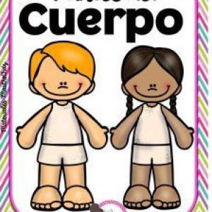 partes del cuerpo