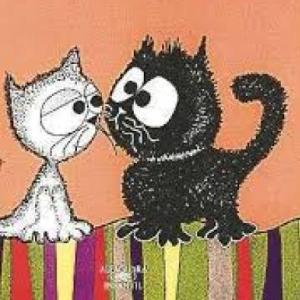 "Gato Negro,Gato Blanco Susana" Olaondo (Gonzalo)