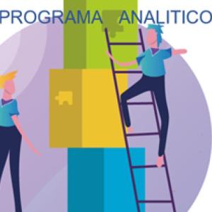 ELEMENTOS DEL PROGRAMA ANALITICO