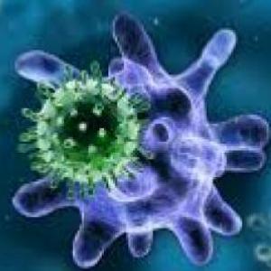 BIODOMINO