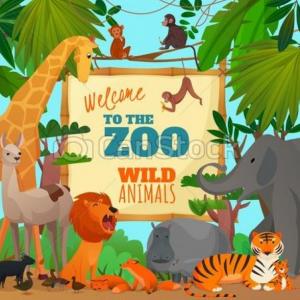 AMAZING ANIMALS!