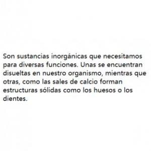 Los nutrientes y sus funciones