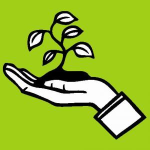 Ecología Integral