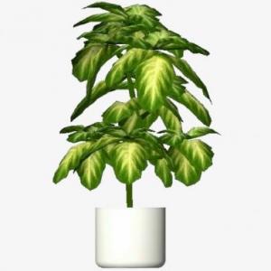 ¡LAS PLANTAS!