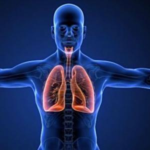 Sistema Respiratorio