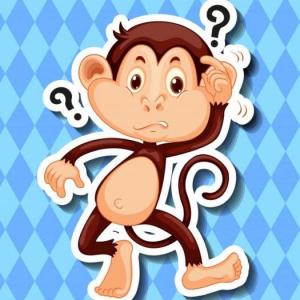 Prueba de conocimientos previos