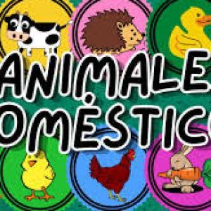 CONOCEMOS LOS ANIMALES DOMESTICOS