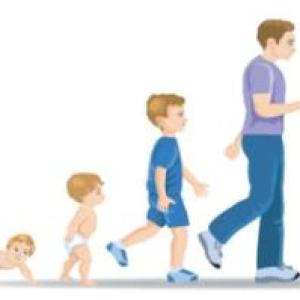 ETAPAS DEL DESARROLLO HUMANO