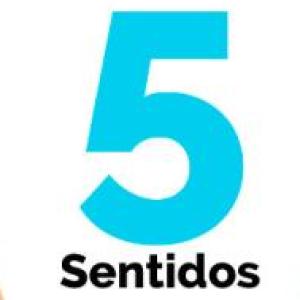 LOS SENTIDOS Y SUS ORGANOS 