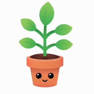 Portada del juego Estructura de la planta – Ciencias