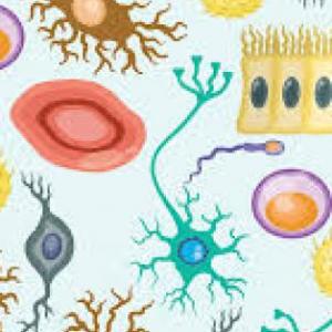 Biologia