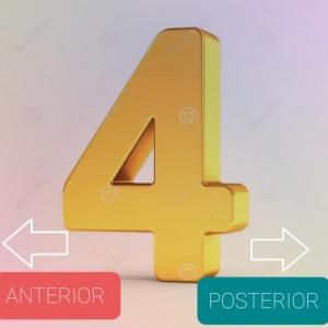 ANTERIOR Y POSTERIOR 