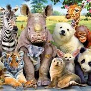 Ecosistema animal