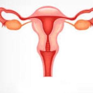 sistema reproductor