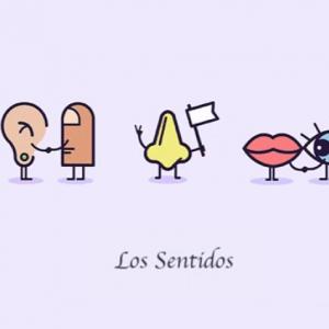 LOS SENTIDOS