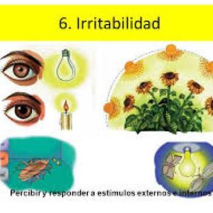 PROPIEDADES DE LOS SERES VIVOS