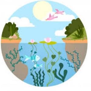 ECOSISTEMAS Y SUS COMPONENTES NATURALES Y SOCIALES
