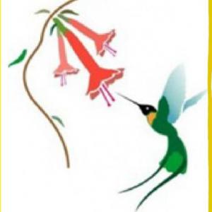 Imagen de portada del videojuego educativo: Términos desconocidos en CCNN, de la temática Biología