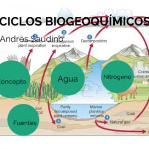 Imagen de portada del videojuego educativo: Importancia de los Ciclos Biogeoquímicos, de la temática Ciencias