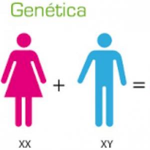 GENÉTICA