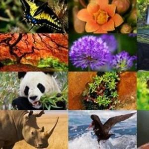 BIODIVERSIDAD Y SUS AMENAZAS