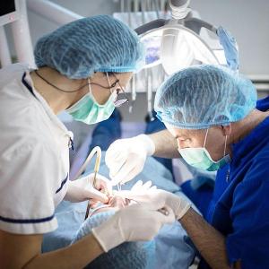 Terminología Médica En Cirugía Bucal
