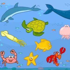 Animales marinos