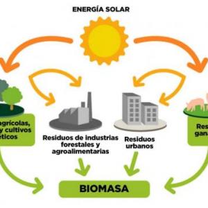 Cuanto sabes de la energía Biomasa?