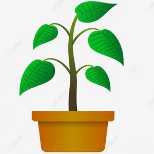 LAS PLANTAS