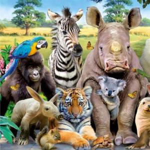 Descubre los Animales Salvajes