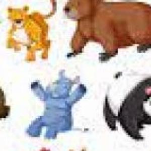animales