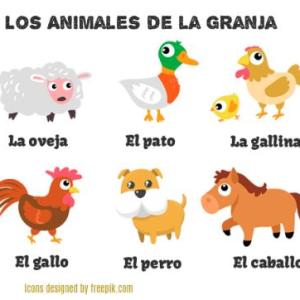 juego aves gallos clip art